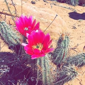 Meet your Posher, Aiko